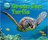 Go to record Green sea turtle