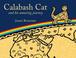 Go to record Calabash Cat, and his amazing journey