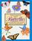 Go to record Butterflies, how to identify and attract them to your garden