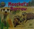 Go to record Meerkat's burrow