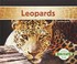 Go to record Leopards