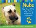 Go to record Nubs : a mutt, a Marine & a miracle