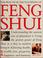 Go to record The practical encyclopedia of feng shui