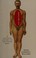 Go to record Anatomies : a cultural history of the human body