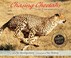 Go to record Chasing cheetahs : the race to save Africa's fastest cats