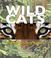 Go to record Wild cats : past & present