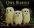 Go to record Owl babies