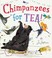 Go to record Chimpanzees for tea!