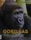 Go to record Gorillas up close