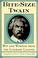 Go to record Bite-size Twain : wit & wisdom from the literary legend