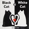 Go to record Black cat & white cat