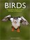 Go to record Birds : a complete guide to their biology and behaviour